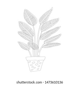 Tropical plant pot in black outline on white background. Vector Illustration