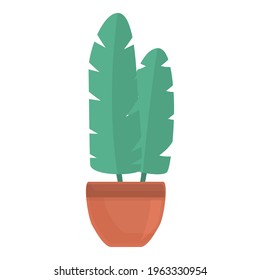 Tropical plant pot icon. Cartoon of Tropical plant pot vector icon for web design isolated on white background