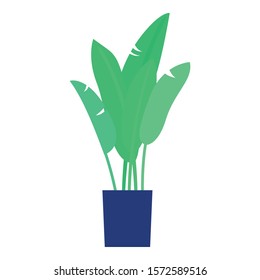 Tropical plant pot icon. Flat illustration of tropical plant pot vector icon for web design