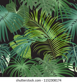 Tropical plant seamless pattern, tropical leaves of palm tree. Vector background.