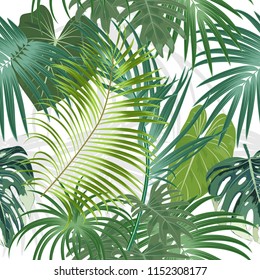 Tropical plant seamless pattern, tropical leaves of palm tree. Vector background.