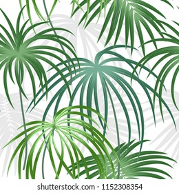 Tropical plant seamless pattern, tropical leaves of palm tree. Vector background.