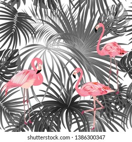 Tropical plant seamless pattern, pink flamingo and black and white tropical leaves of palm tree. Vector background.
