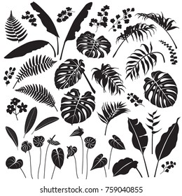 Tropical plant set. Black silhouettes of palm leaves, banana plants, monstera, tropic flowers isolated on white background. Vector flat illustration.