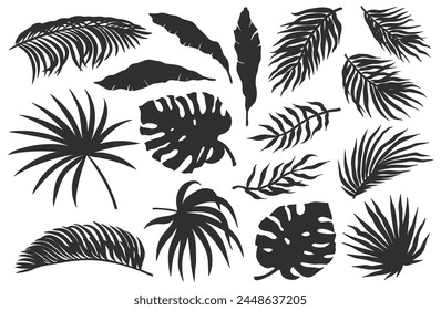 Tropical plant set or summer exotic leafs for decoration wedding or florist shop. Exotic nature plants collection with monstera, palm and banana leafs for vector tropic design.