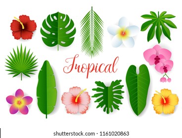 Tropical plant set. Vector paper cut monstera, bamboo, cocos palm leaves, hibiscus hawaiian aloha, frangipani flowers etc. Modern craft style design elements for party invitation greeting card poster.