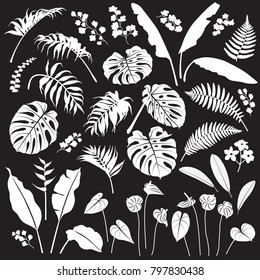 Tropical plant set. White silhouettes of palm leaves, banana plants, monstera, tropic flowers isolated on black background. Vector flat illustration.