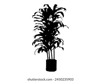 Tropical plant silhouette vector art