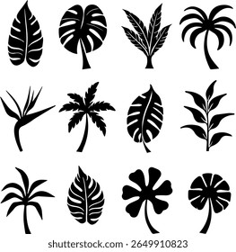 Tropical Plant Silhouettes Set 12 Exotic Botanical Vector Icons