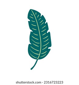 Tropical plant spathiphyllum leaf hand drawn illustration. Cartoon style flat design, isolated vector. Summer print, seasonal element, holidays, vacations, beach, jungle flora, exotic foliage