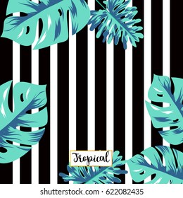 Tropical plant and strip background