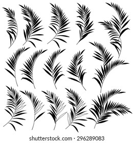 tropical plants 