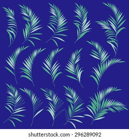 tropical plants 