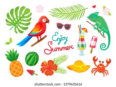 Tropical plants and animals, enjoy summer, cocktails and fruits vector. Parrot and gecko, ice cream and drink, palm leaves and watermelon, pineapple