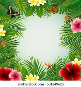 Tropical plants background