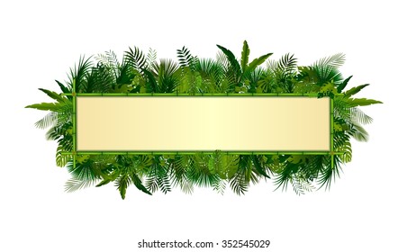 Tropical plants background. rectangle floral frame with space for text in concept bamboo .Vector