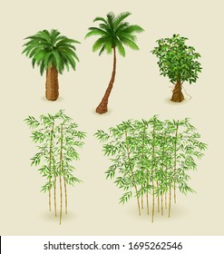 Tropical plants and bamboo on a light background for interior design in isometric. Vector illustration