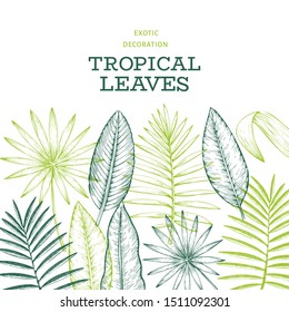 Tropical plants banner design. Hand drawn tropical summer exotic leaves illustration. Jungle leaves, palm leaves engraved style. Vintage background design