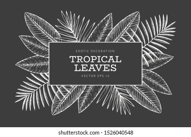 Tropical plants banner design. Hand drawn tropical summer exotic leaves illustration on chalk board. Jungle leaves, palm leaves engraved style. Retro background design