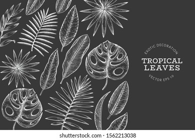 Tropical plants banner design. Hand drawn tropical summer exotic leaves illustration on chalk board. Jungle leaves, palm leaves engraved style. Retro background design