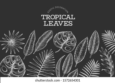 Tropical plants banner design. Hand drawn tropical summer exotic leaves illustration on chalk board. Jungle leaves, palm leaves engraved style. Vintage background design
