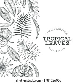 Tropical plants banner design. Hand drawn tropical summer exotic leaves illustration. Jungle leaves, palm leaves engraved style. Vintage background design