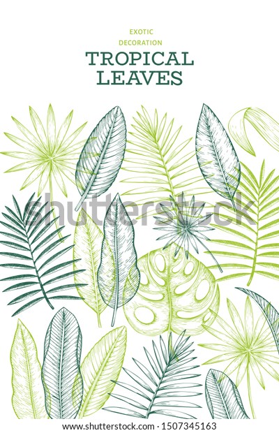 Tropical Plants Banner Design Hand Drawn Stock Vector Royalty Free 1507345163 Shutterstock 