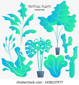 Tropical Plants Collection. Vector Illustration with Modern Gradients. Eps.10