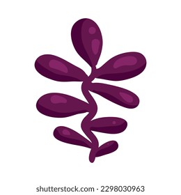 Composición de plantas tropicales con icono aislado de planta exótica sobre ilustración vectorial de fondo en blanco