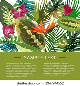 Tropical plants design template. Vector illustration with palm leaves and monstera. 