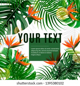 Tropical plants design template. Vector illustration with palm leaves, flowers.