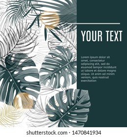 Tropical plants design template. Vector illustration with palm leaves and monstera.