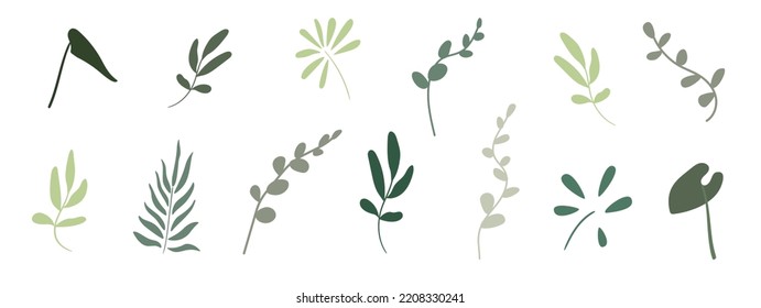 Tropical plants, eucalyptus branches, banana leaves, twigs, stems in naive style. Set of isolated vector botanical elements. Use for decor, design, stickers, tattoos, decorations, icons, symbols, etc.