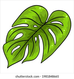 Tropical plants exotic carved green leaf in cartoon style. Vector illustration for design isolated on white background.