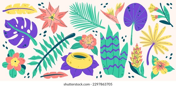 Tropical plants exotic nature set. Palm Leaves and Flowers. Vector illustration