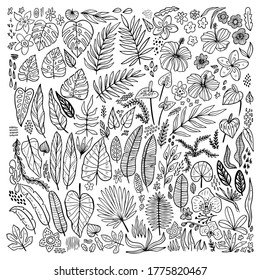 Plantas tropicales con doodle floral. Colección de contorno de flor hawaiana, hierba y hojas. Hojas de palma dibujadas a mano, íconos de follaje. Ilustración vectorial aislada en fondo blanco. Esbozo floral exótico.