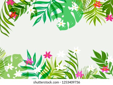 Tropical plants and flowers