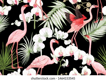 Tropical plants and flowers and birds. Seamless pattern, background. Colored and outline design. Vector illustration. Isolated on black background.	