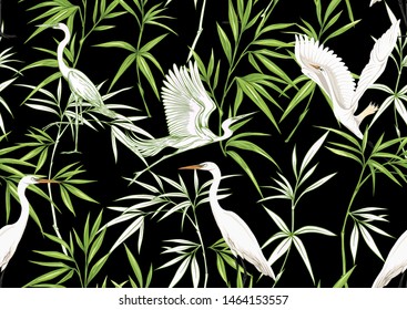 Tropical plants and flowers and birds. Seamless pattern, background. Colored and outline design. Vector illustration. Isolated on black background.	