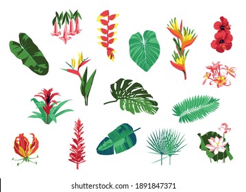 Tropical plants and flowers collection. Exotic tropical palm leaves and blooming flowers. Summer party, holidays, wedding, cosmetics floral design flat vector illustration isolated on white background