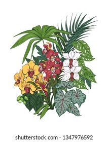 Tropical plants and flowers, palm and monstera leaves, Orchid  flowers, vector illustration
