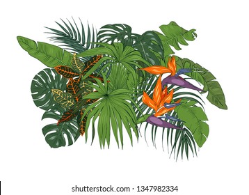 Tropical plants and flowers, palm and monstera leaves, strelitzia flowers, vector illustration