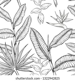 Tropical plants and flowers seamless pattern. Jungle foliage illustration. sketch style exotic plants. Summer beach floral design. Paradise nature. Line art, ink, vintage