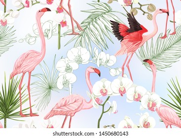 Tropical plants and flowers. Seamless pattern, background. Colored and outline design. Vector illustration. On sky blue background.