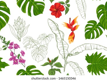 Tropical plants and flowers. 
 Seamless pattern, background. Colored and outline design. Vector illustration. Isolated on white background."	