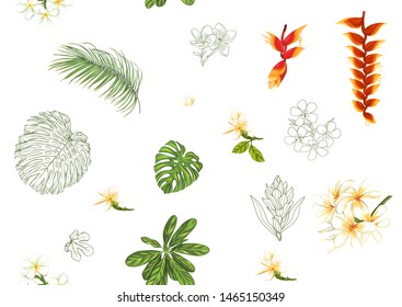 Tropical plants and flowers. 
 Seamless pattern, background. Colored and outline design. Vector illustration. Isolated on white background."	