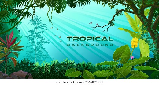 Tropical plants form the border for the beautiful rainforests.