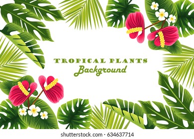 Tropical plants. frame. background. vector illustration