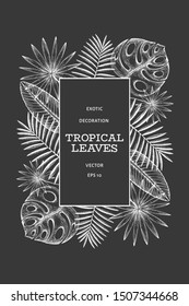 Tropical plants frame design. Hand drawn tropical summer exotic leaves illustration on chalk board. Jungle leaves, palm leaves engraved style. Retro background design