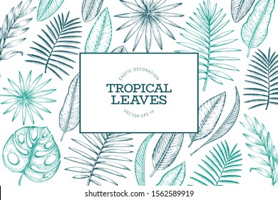 Trendy Summer Tropical Leaves Vector Design Stock Vector (Royalty Free ...